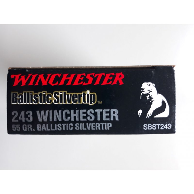 455.160.243Win Winchester